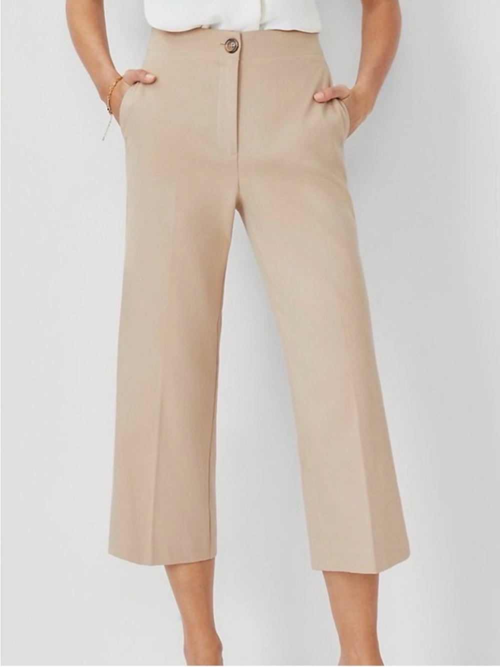 Ann Taylor Cropped Wide-Leg Pants in Light Taupe